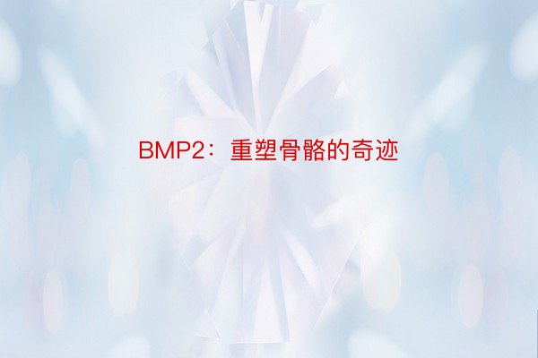 BMP2：重塑骨骼的奇迹